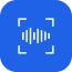 Sentiment & Voice Analysis