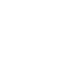 semidot icon