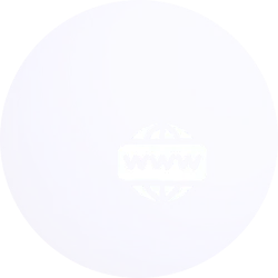 Domain Expertise