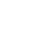 dev-icon