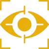 Tailored to Your Vision