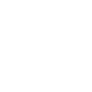 dev-icon