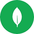 MongoDB Atlas